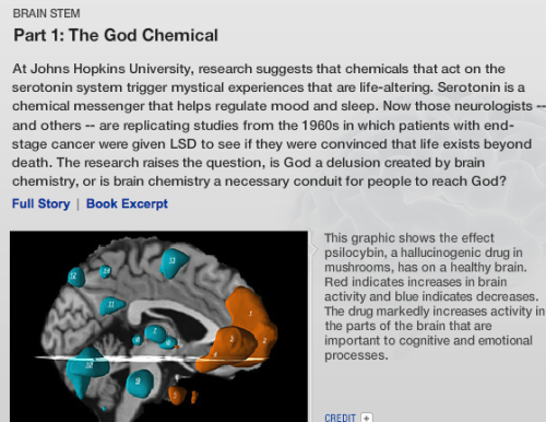 Ritual Design Lab - your brain on god - Screen Shot 2014-12-20 at 10.32.39 PM